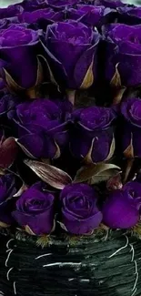 Elegant bouquet of purple roses in a black basket.