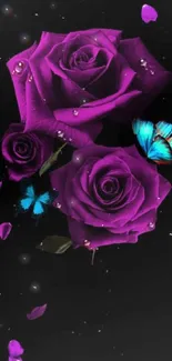 Purple roses and blue butterflies on a black background.