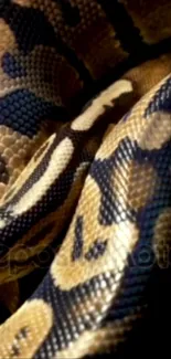 Close-up of intricate python scales in earthy tones for mobile background.