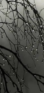 Serene black and white branches with raindrops mobile wallpaper.