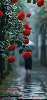 Red roses by a rainy path with a distant figure and umbrella.