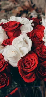 Red and white roses bouquet mobile wallpaper.