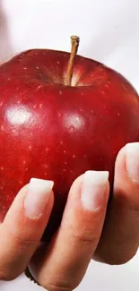 Mobile wallpaper of a hand holding a red apple.