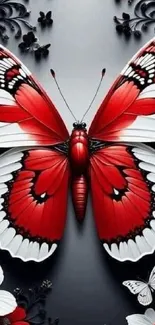 Elegant red butterfly with black and white accents, set against a dark background.