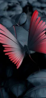 Red butterfly on dark leaves wallpaper