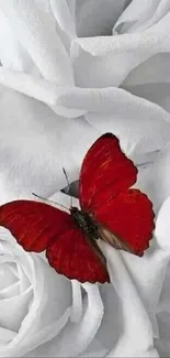 Red butterfly on white roses wallpaper for mobile.