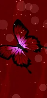 Elegant red and black butterfly on red background.