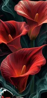 Elegant red calla lilies with smoky background.