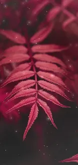 Elegant mobile wallpaper of red fern leaves with intricate patterns.