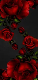 Elegant red roses on a black background wallpaper.