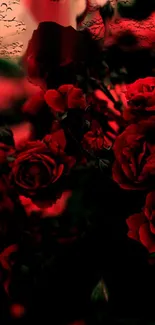 Red roses with dark background wallpaper, elegant and stylish design.