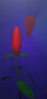 Mobile wallpaper of a red flower against a deep blue background.