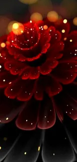 Elegant red flower with glowing petals on a dark background wallpaper.