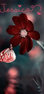 Red flower with butterfly on blurred background.