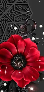 Elegant wallpaper with red flower and black geometric background.