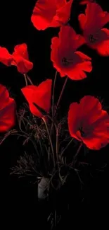 Striking red flowers against a black background.