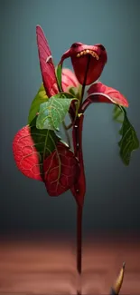 Delicate red leaf plant art on a mobile wallpaper background.