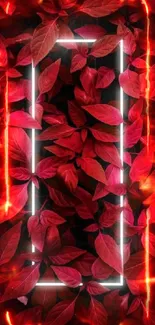 Red leaves with neon frame wallpaper.