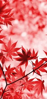 Red leaves create an elegant mobile wallpaper with a natural, serene touch.