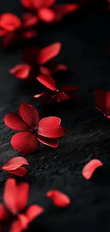 Elegant mobile wallpaper with red petals on black background.