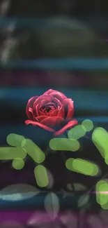 Vibrant red rose with green leaves on a dark backdrop.