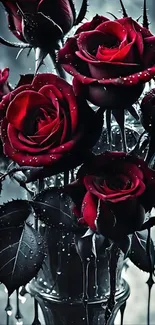 Beautiful bouquet of red roses with water droplets.