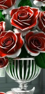 Elegant bouquet of red and white roses with green leaves in a vase.