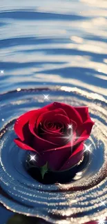 Red rose delicately floating on rippling water surface, serene and elegant.