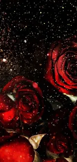 Elegant red roses bloom on a dark background, creating a dramatic mobile wallpaper.