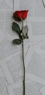 Single red rose on scattered book pages creating a vintage look.