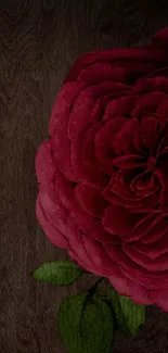 Elegant deep red rose on dark wood background wallpaper.