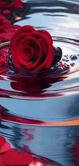 Red rose on water with petals, creating a serene and elegant reflection.