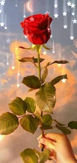 Hand holding a red rose against sunset clouds.