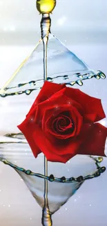 Elegant mobile wallpaper with red rose and water splash design.