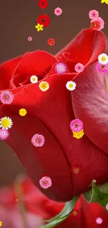 Close-up of vibrant red rose in elegant bloom.