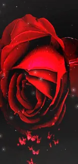 Stunning red rose with glowing effect on a black background mobile wallpaper.