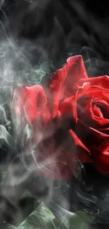 A bold red rose surrounded by smoke on a dark, mysterious background.