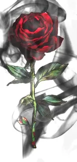 Elegant wallpaper featuring red rose and dark smoke design.