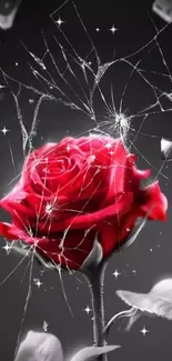 Elegant red rose with shattered glass on a dark background wallpaper.