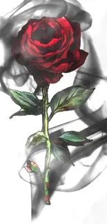 Red rose with smoky artistic background wallpaper.