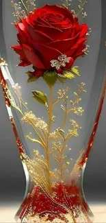 Elegant red rose in a gold-decorated glass vase.