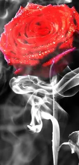 Red rose with smoke on dark background wallpaper.