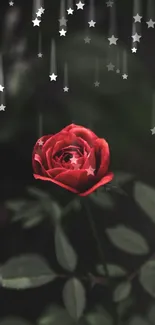 Mobile wallpaper featuring a red rose with star accents and dark green background.