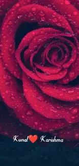 Elegant close-up of a red rose with dewdrops against a dark background.