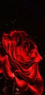 A glowing red rose with a dark background for mobile wallpaper.