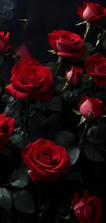 Elegant red roses on a dark background wallpaper.