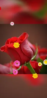 Beautiful red rose with colorful floral accents on mobile wallpaper.