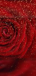 Elegant red rose with gold glitter wallpaper.