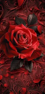 Elegant red rose with intricate swirl design on a dark background.