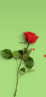 Red rose on a light green background, elegant and fresh mobile wallpaper.